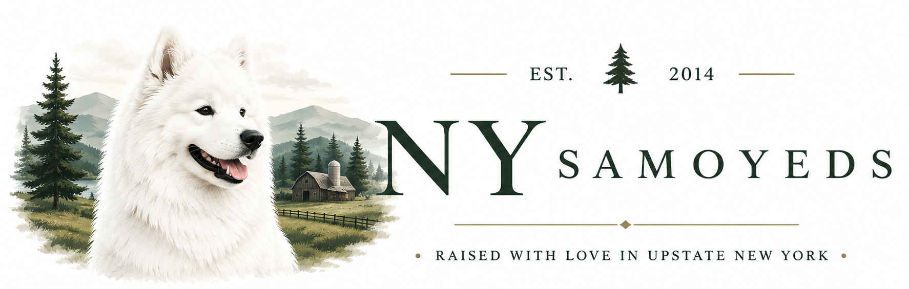 New York Samoyeds